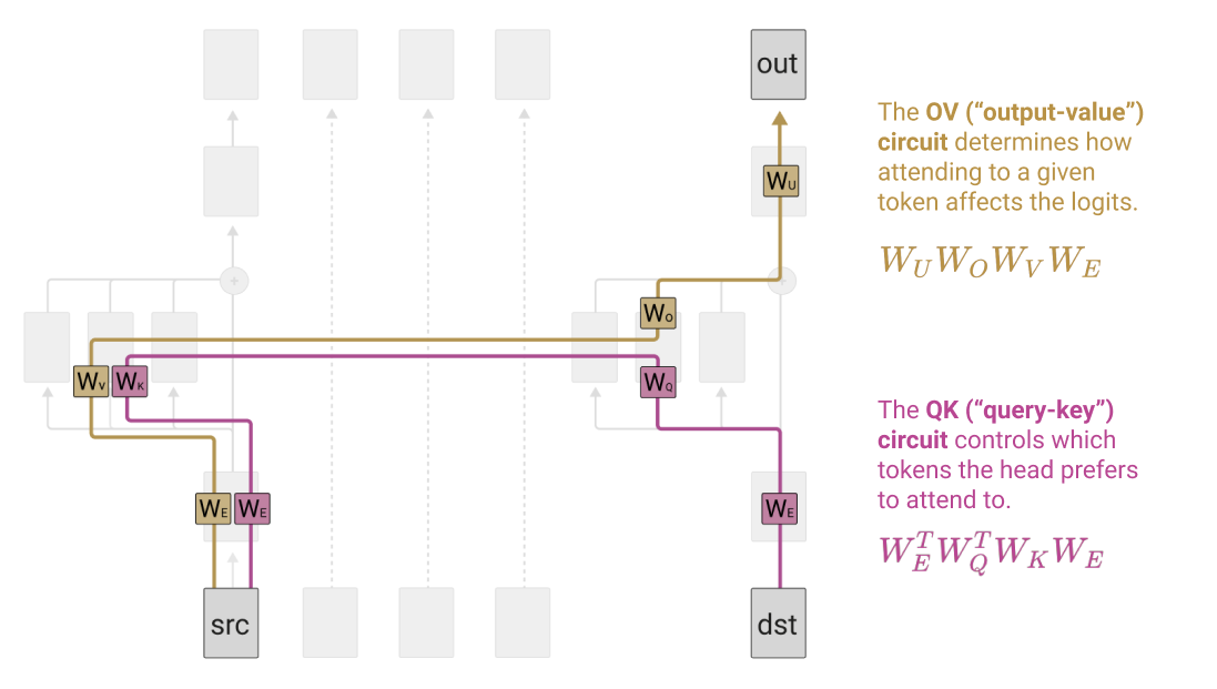 The QK and OV circuits: two independent token-to-token paths